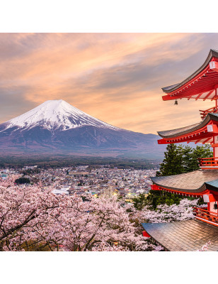 A1 – Japanisch für Anfänger/-innen - März 2027