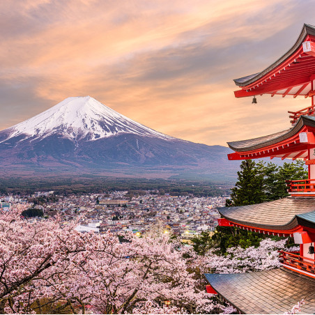 A1 – Japanisch für Anfänger/-innen - März 2027